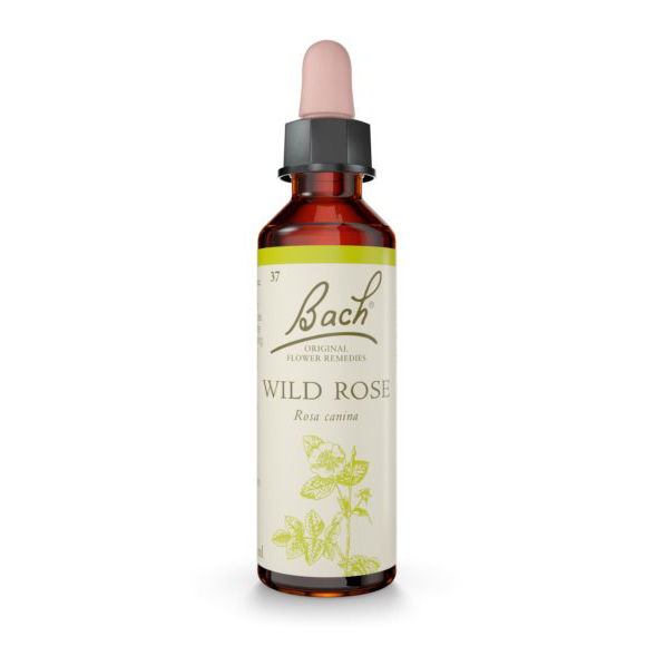 Bach Wild Rose 20ml